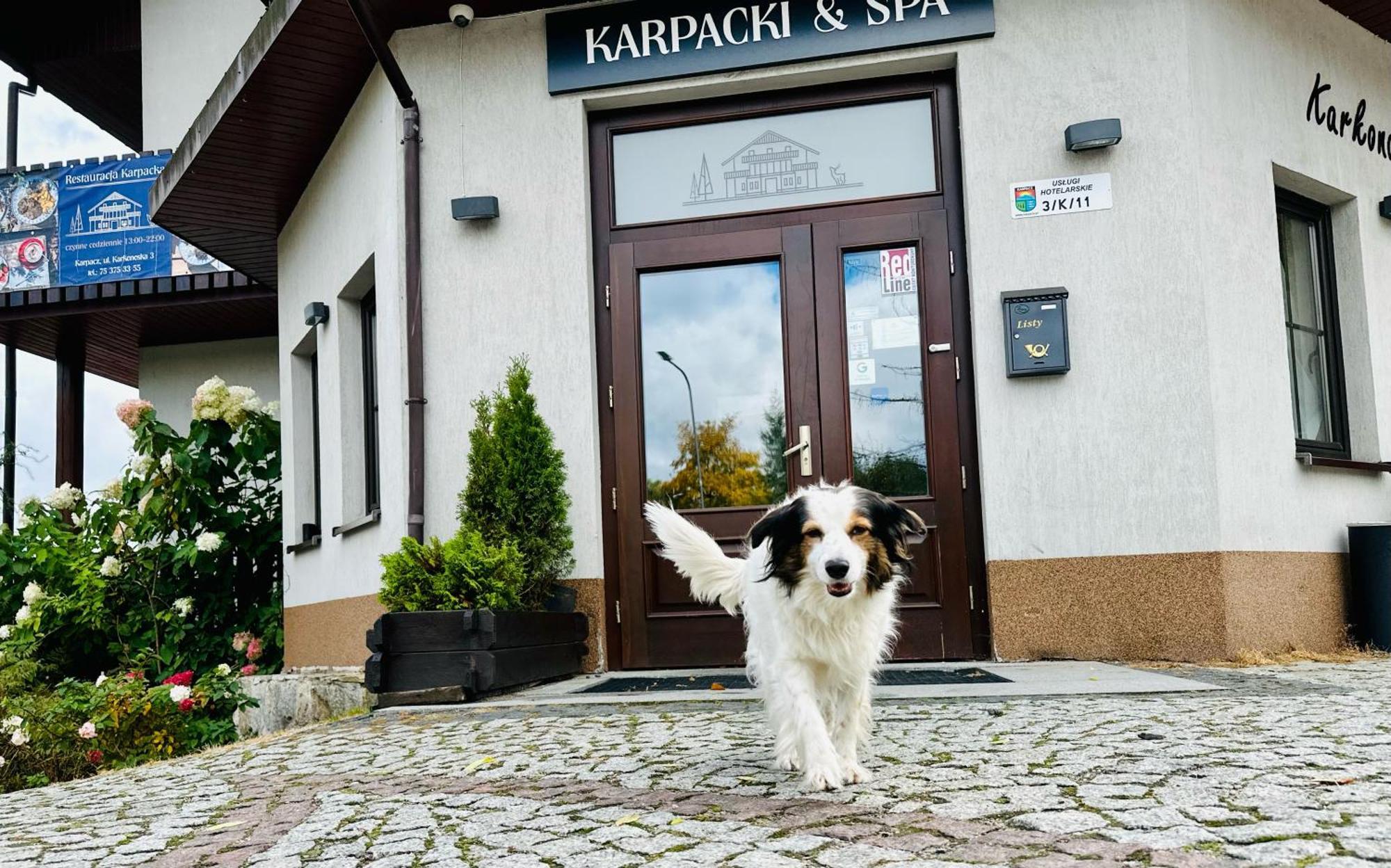 Karpacki & Spa - Blisko Wyciagu, Restauracja, Sala Zabaw, Bar 24H (Adults Only) Karpacz Buitenkant foto